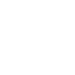 zacweb.net Logo_white_transp